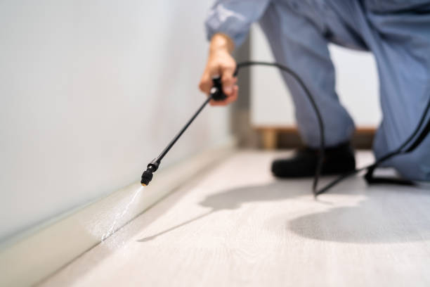 Licensed Mosquito Control service in Machesney Park, IL - Show Me Pest Control