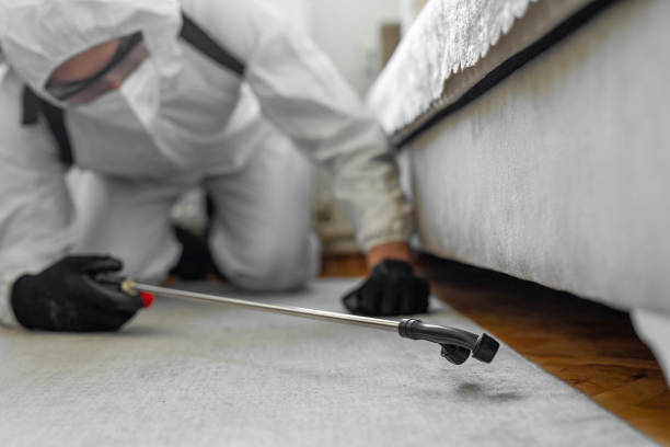 Professional Ant Control technician working in Machesney Park, IL