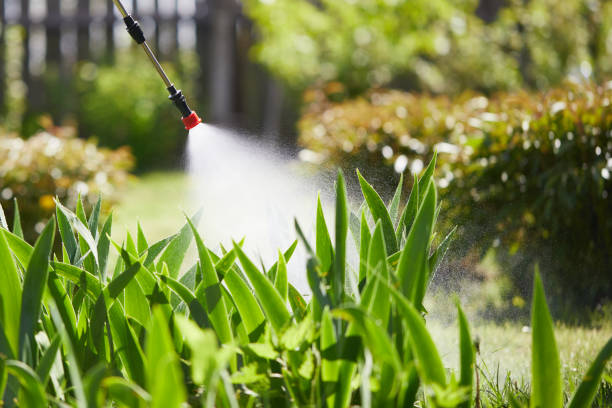 24/7 Emergency Mosquito Control experts in Machesney Park, IL